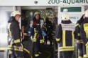 Feuer Zoo Aquarium Koeln Riehl P18